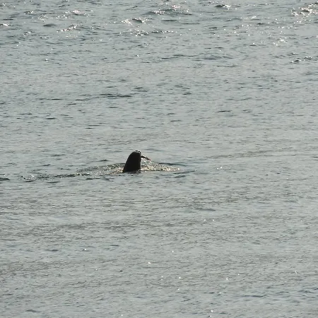 Stunning Tranquil With Private Pool וילה סאמי