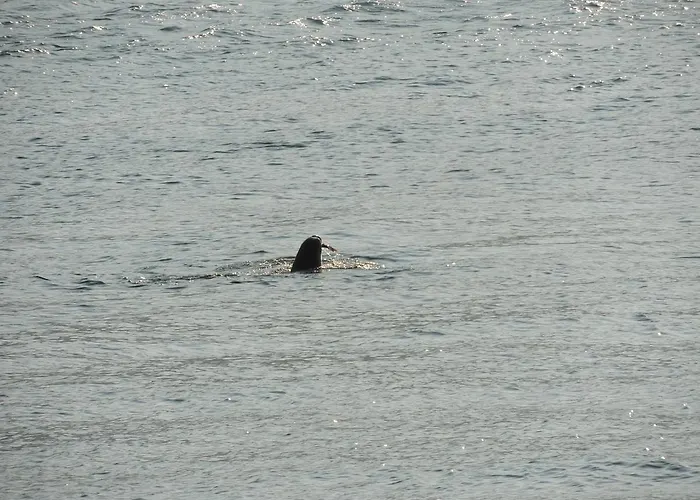 Stunning Tranquil Villa With Private Pool Вилла Сами